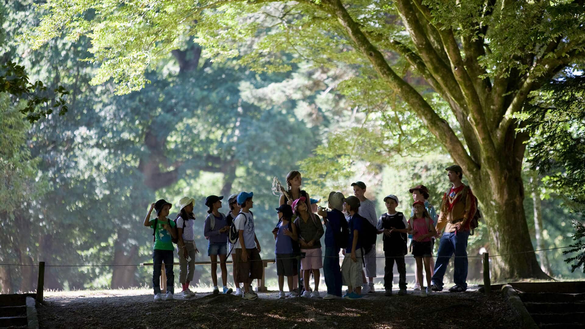 visite groupe parc branféré