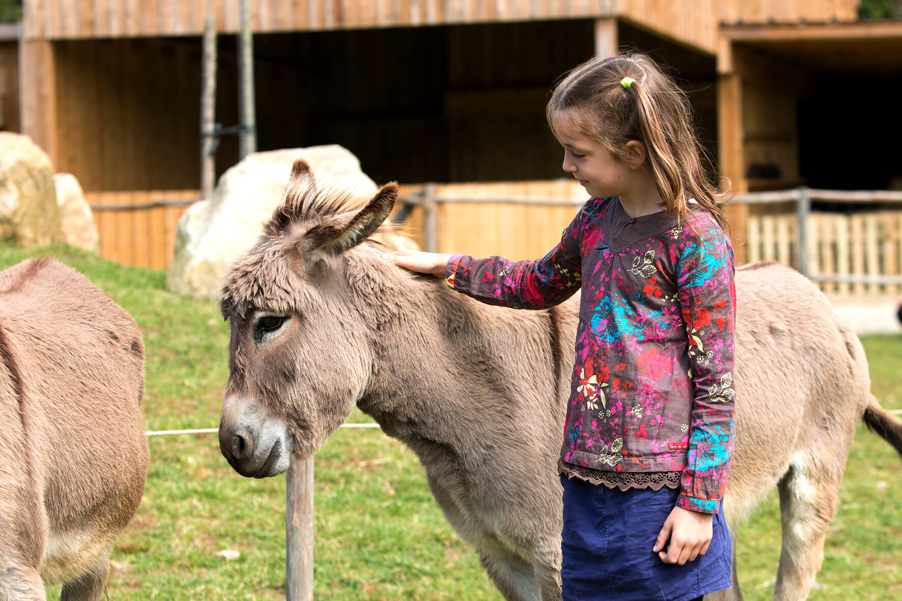 ferme pédagogique branféré